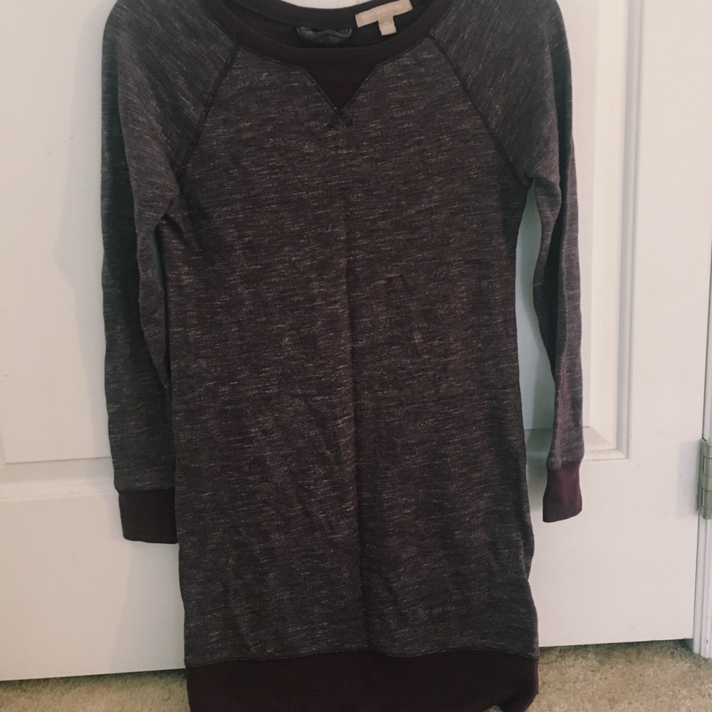 plum banana republic sweatshirt dress